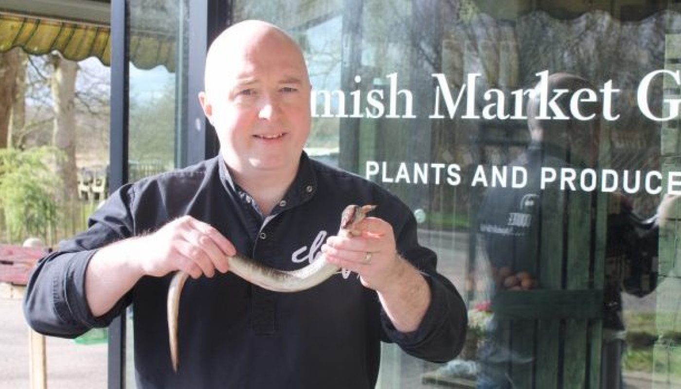 chef rob curley nire