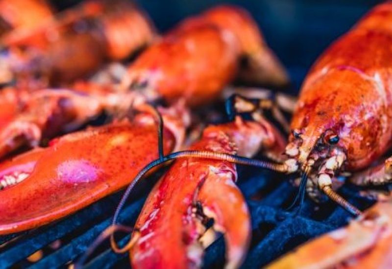 closeup-of-canadian-lobsters-grilling-on-the-barbecue-picture-id686696336
