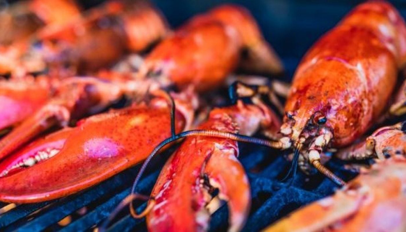 closeup-of-canadian-lobsters-grilling-on-the-barbecue-picture-id686696336