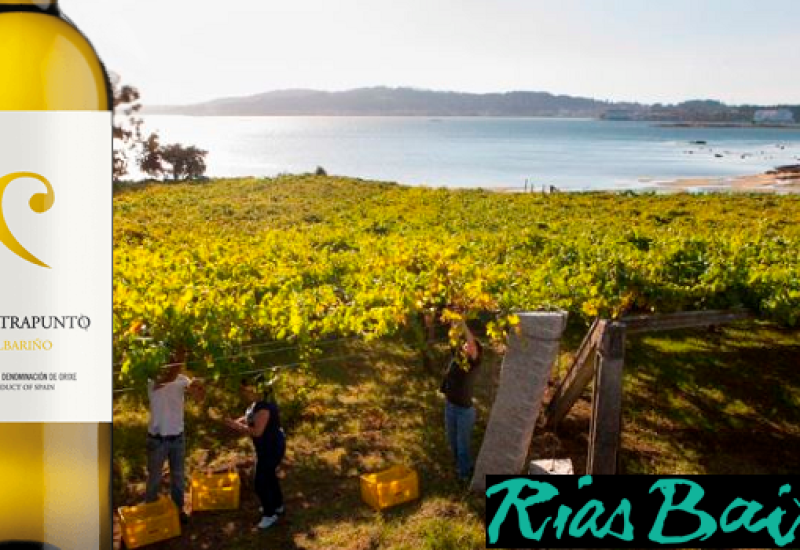 Win Six Bottles of Contrapunto Albarino from O'Briens Wines to Celebrate Rias Baixas Week