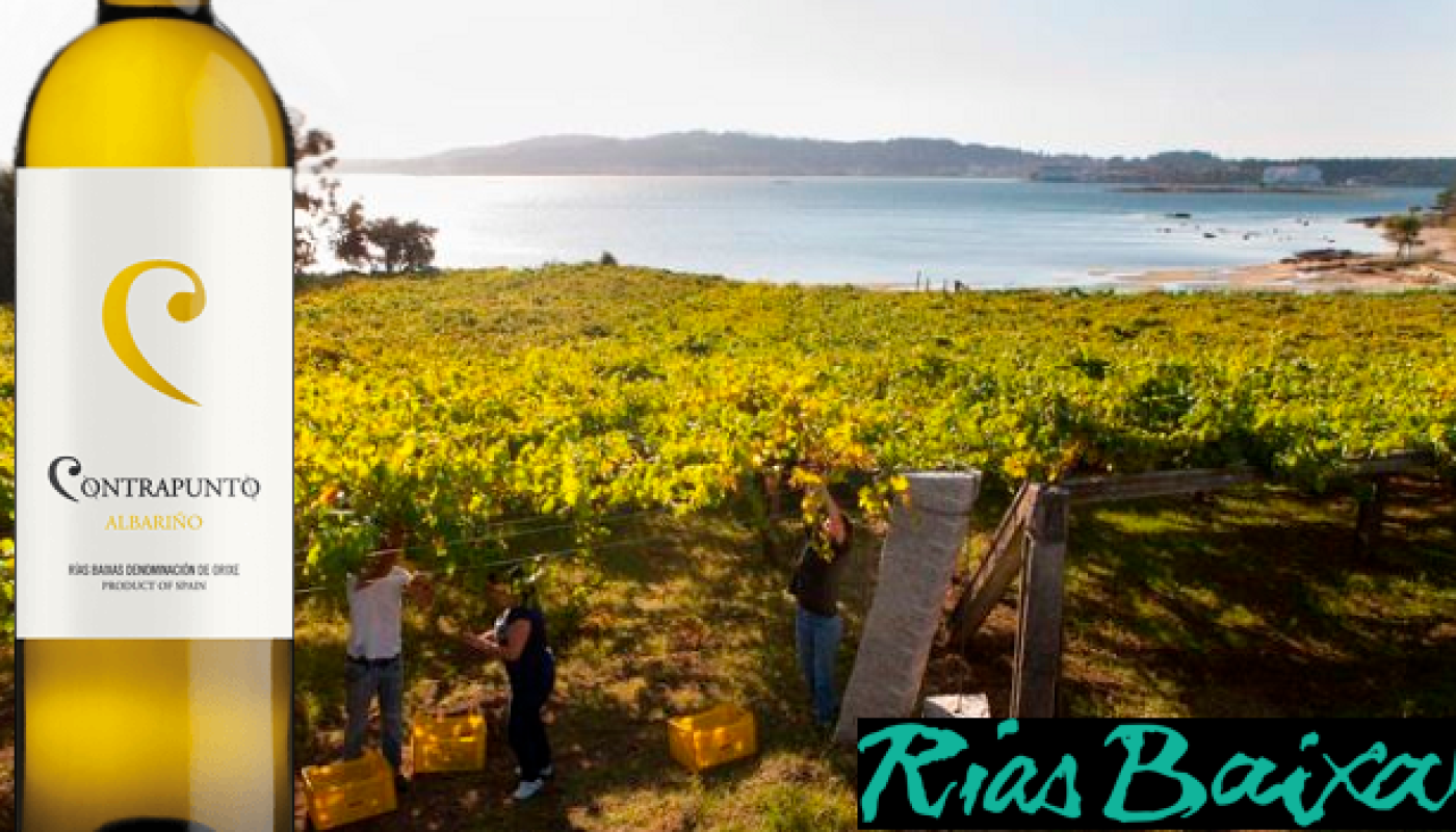 Win Six Bottles of Contrapunto Albarino from O'Briens Wines to Celebrate Rias Baixas Week