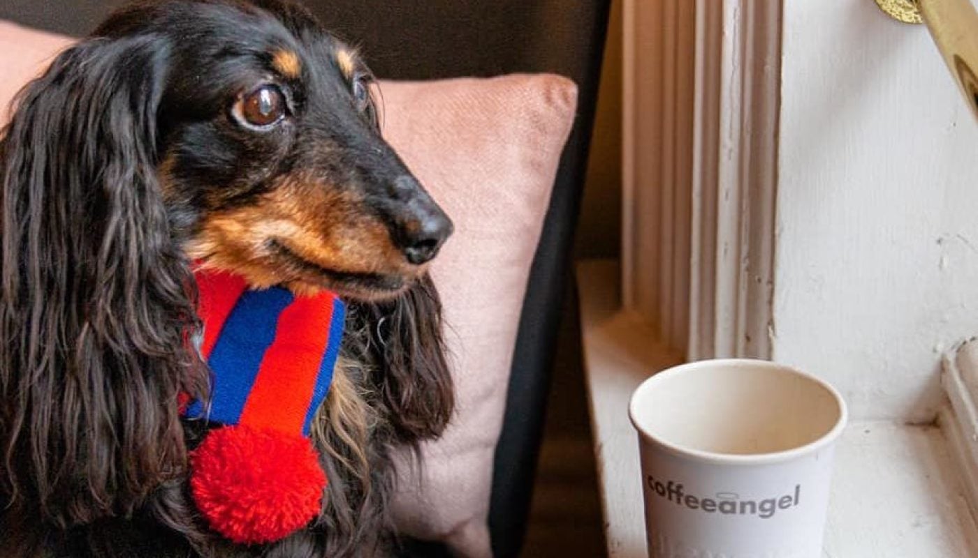 dog friendly cafes in dublin
