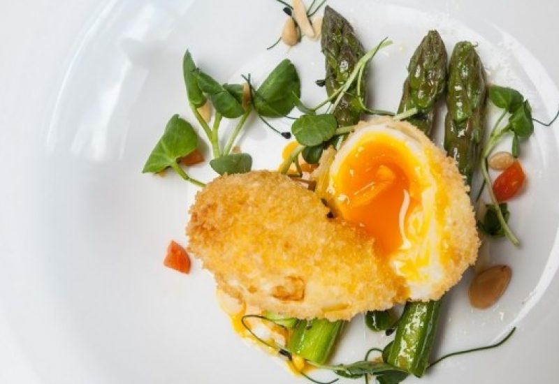 egg close up feature