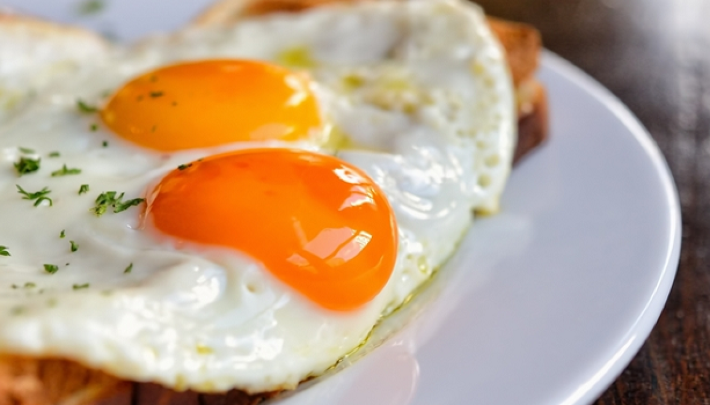The Eggstatistics are Eggstraordinary! Discover Irish Egg Eating Preferences the World Egg Day