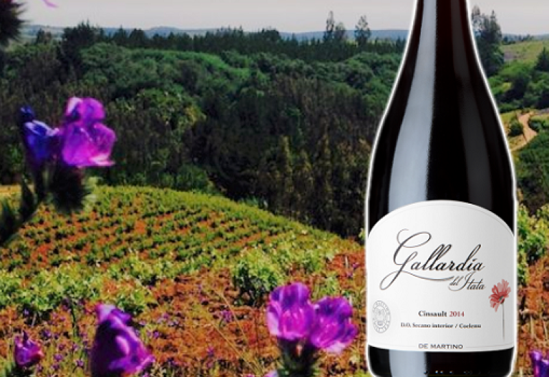 gallardia di martino wines itata