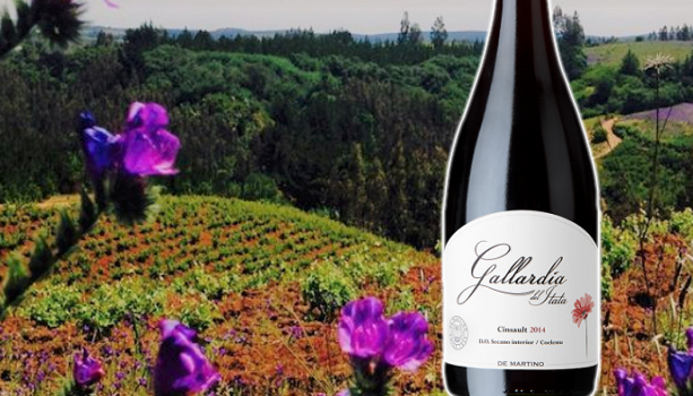 gallardia di martino wines itata