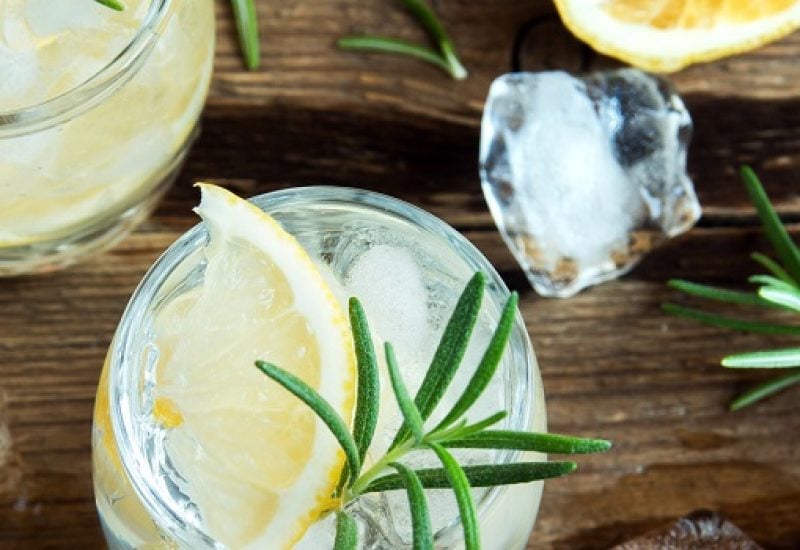 Great News! Ireland is Getting a Massive Gin Festival this Spring