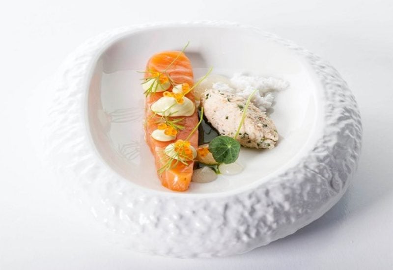 gin salmon2