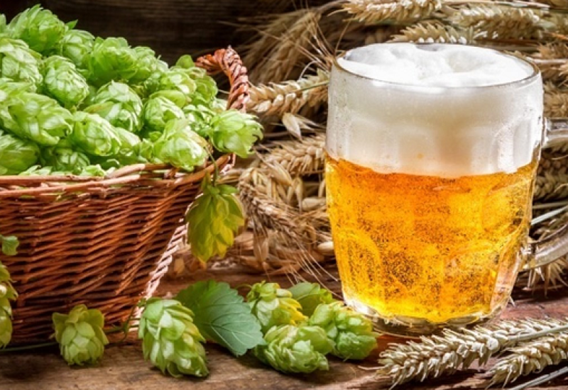 Hops: A Very Brief Crash Course