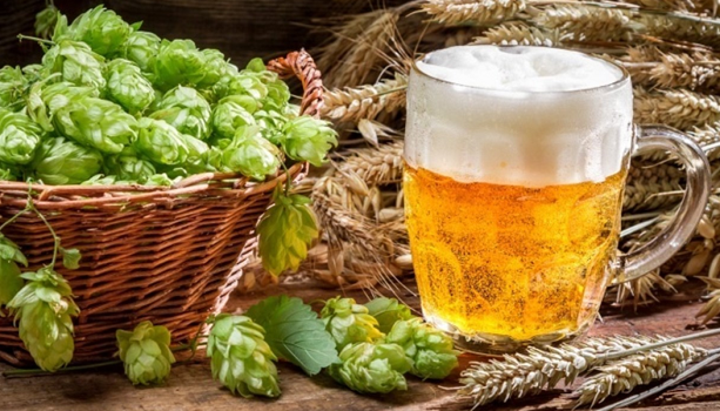 Hops: A Very Brief Crash Course
