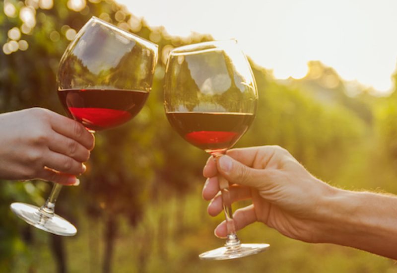 Two hands clinking red wine glass in a Vineyard during sunset.