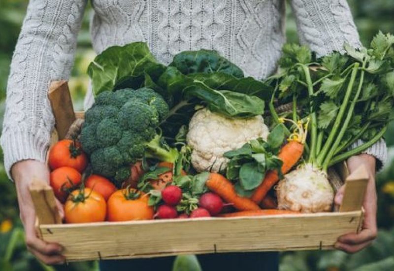 Young farmer with crate full of vegetables