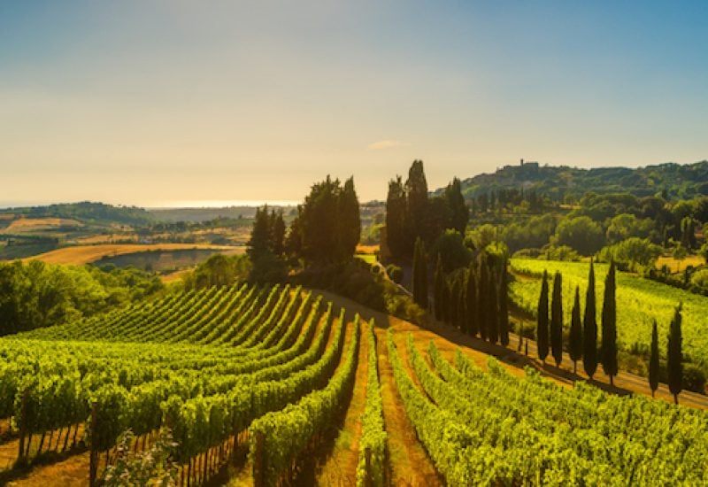 Casale Marittimo village, vineyards and landscape in Maremma. Tuscany, Italy.
