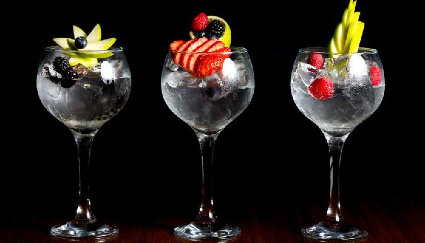 gin and tonic cocktail drink