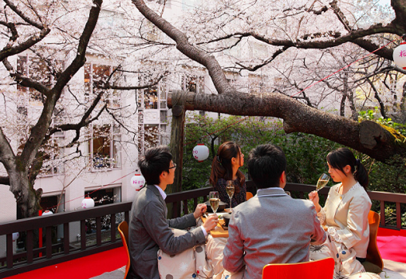 Japanese Wines: A Taste from the Terroir of the Rising Sun