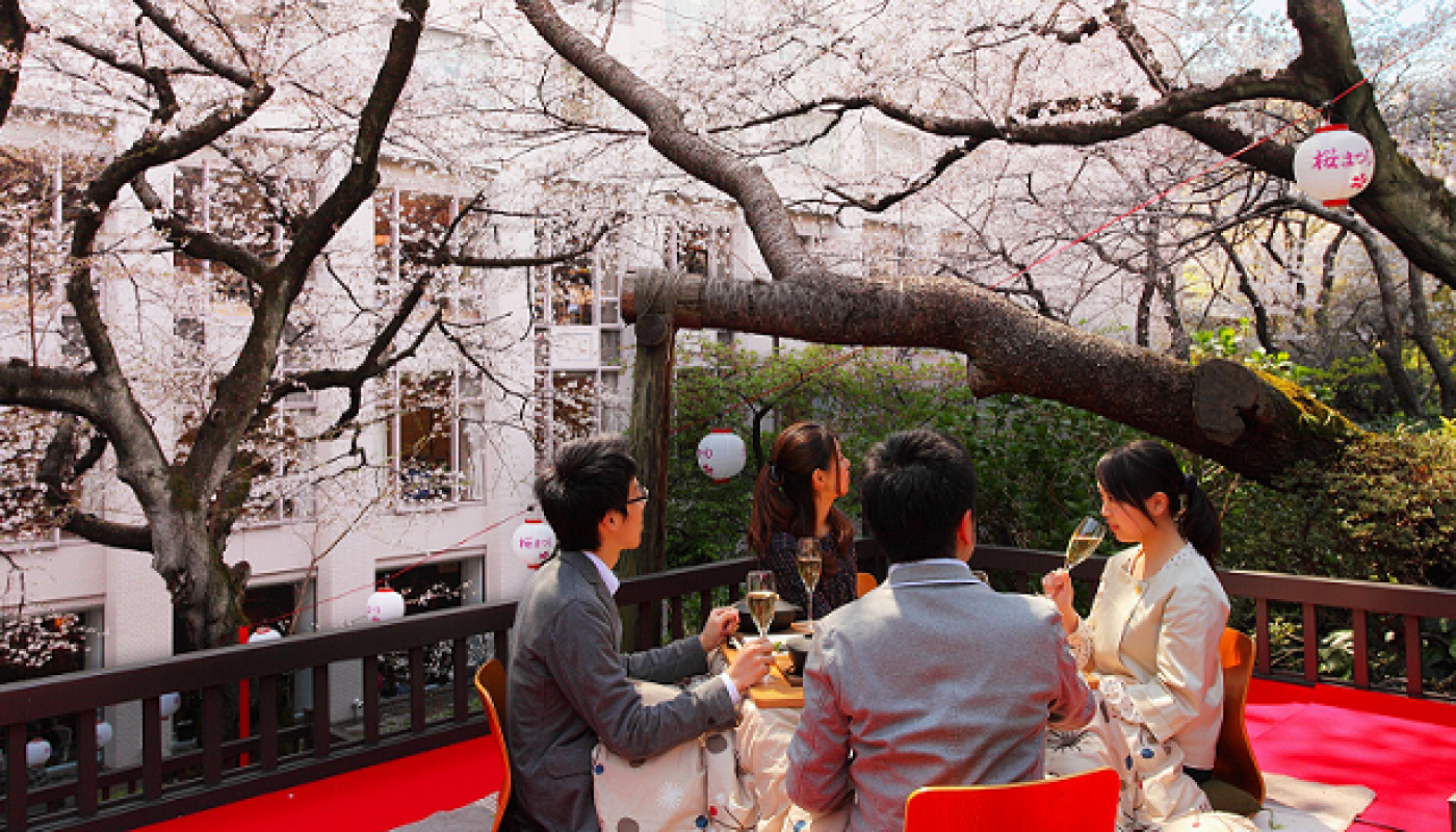 Japanese Wines: A Taste from the Terroir of the Rising Sun