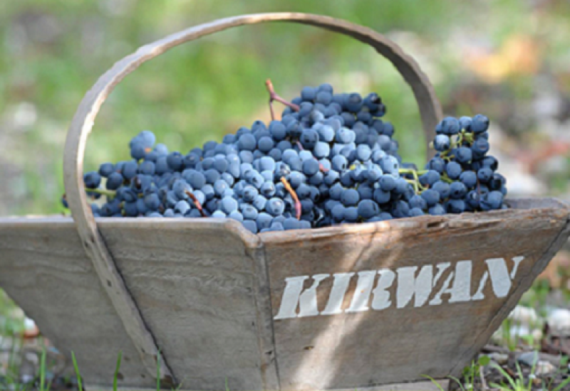 Wine Agenda: An Evening of Food and Wine with Yann Schÿler of Château Kirwan