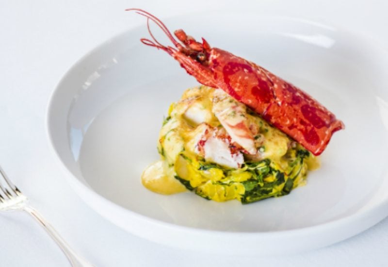 lobster diush feat