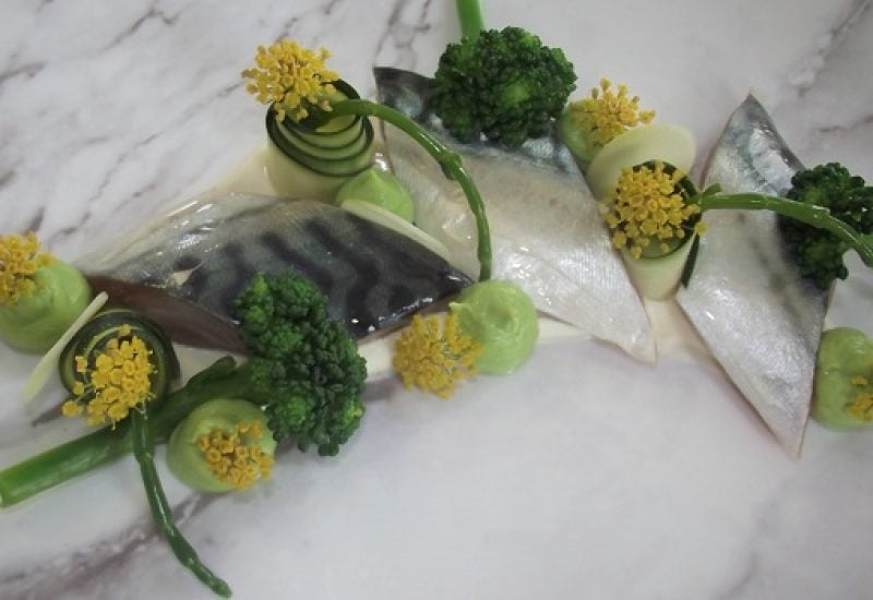 Cured Mackerel, Ballymakenny Tendersteam Broccoli & Samphire Puree Recipe By Chef Janice Casey Bracken