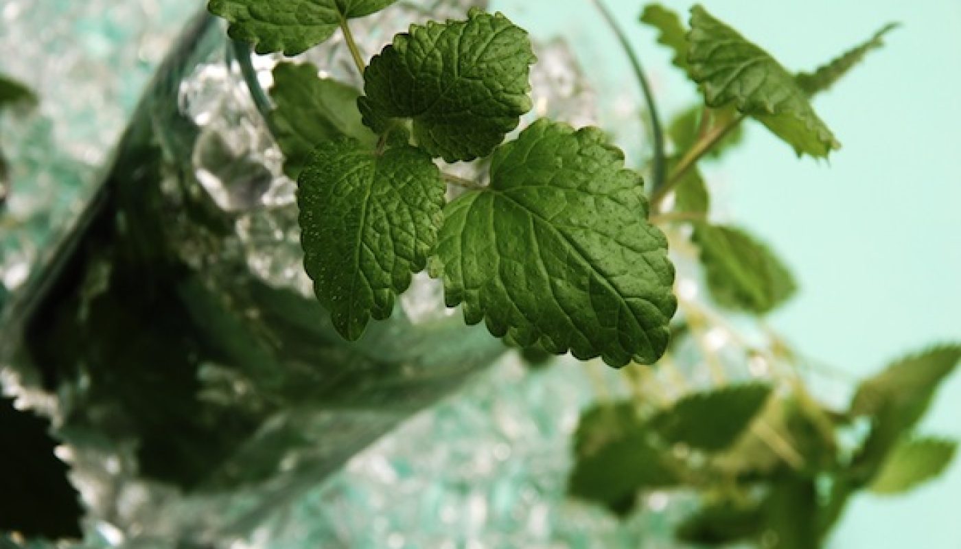 mojito