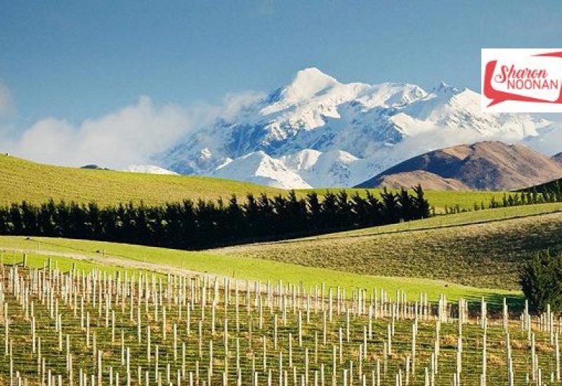 New Zealand Wines