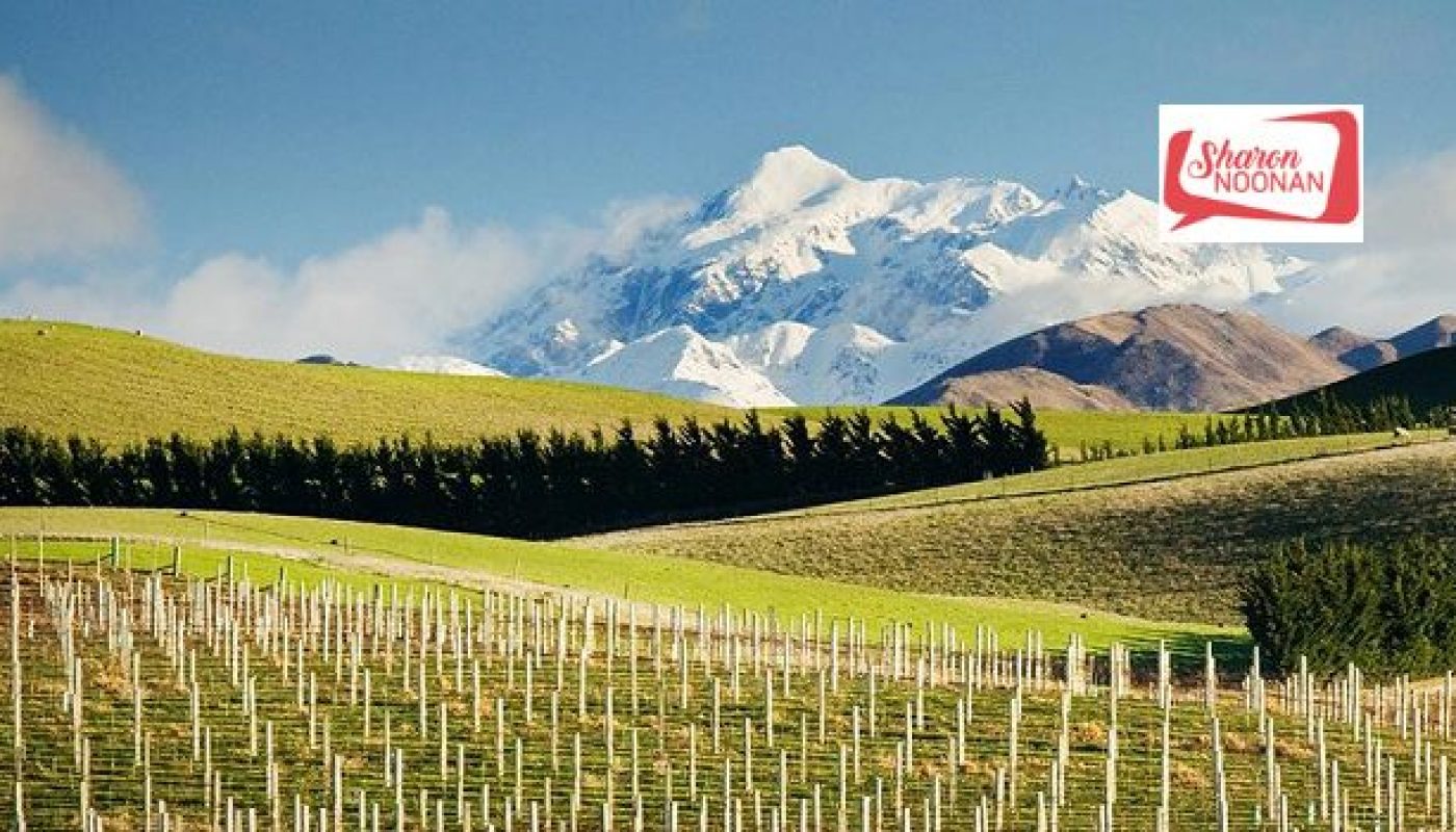 New Zealand Wines