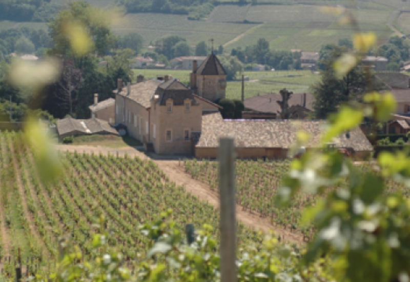 New World or Old World Wines by Frankly Wines