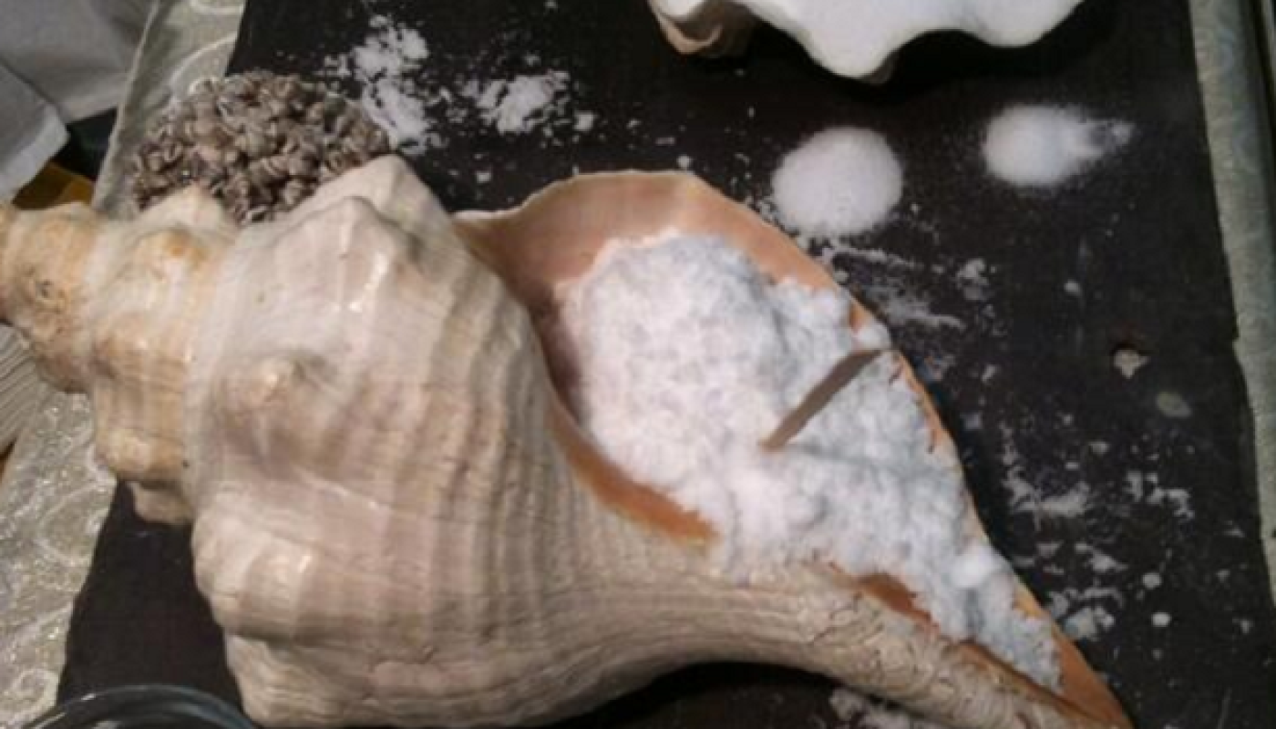 Oriel Sea Salt and Sea Minerals Granted Protected Designation of Origin by the EU