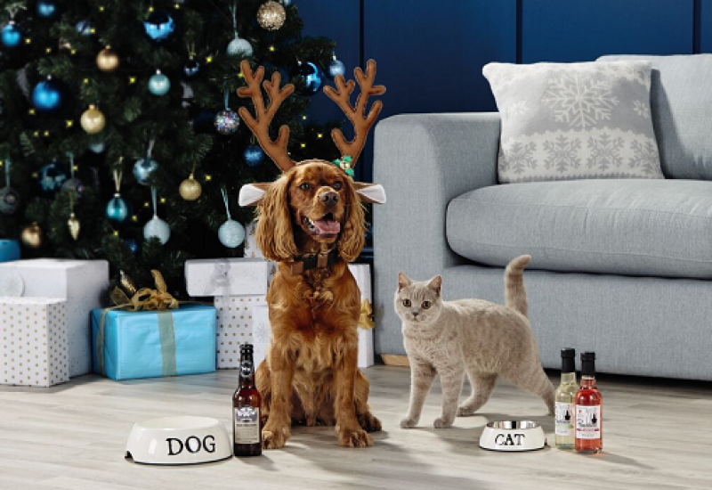Pawesome News! You Can Now Get Dog Friendly Beer and Pawsecco in Ireland