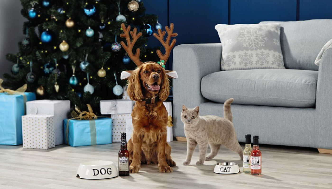 Pawesome News! You Can Now Get Dog Friendly Beer and Pawsecco in Ireland