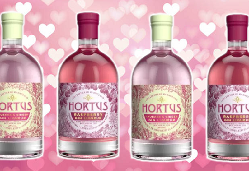 Lidl Launched Two Pink Gins in Time for Valentine's Day and They're Great Great Value | Pink Gin