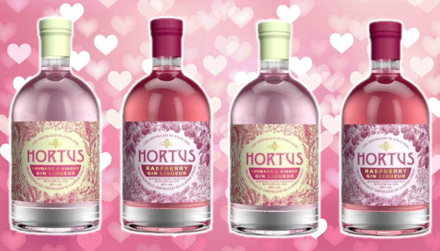 Lidl Launched Two Pink Gins in Time for Valentine's Day and They're Great Great Value | Pink Gin