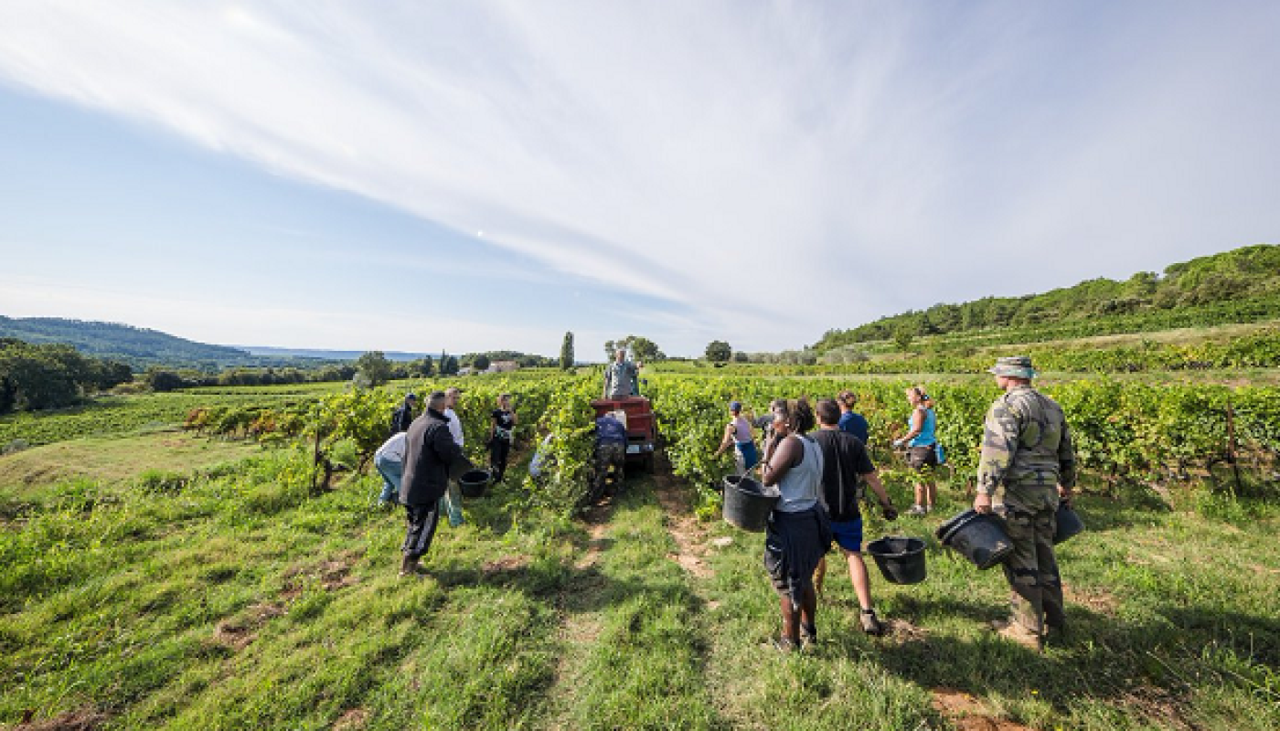 Game of Rhones - Brace Yourselves, Great Wines are Coming Cornas Vineyards with Rhone River