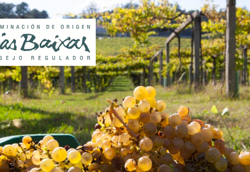 Five Rias Baixas Albariños to Try Now and Party Food Pairings to Match