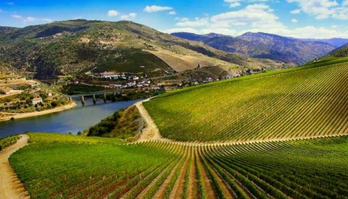 ribera-del-duero-wine-guide