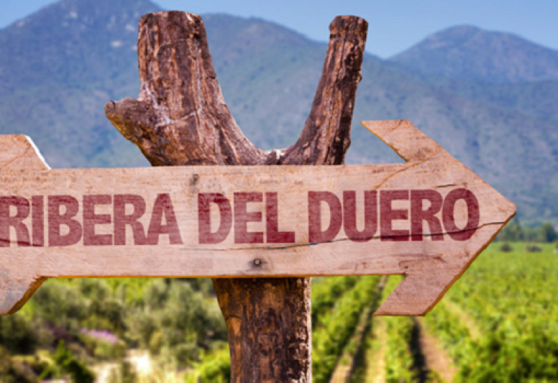 Spain’s Ribera del Duero — Rioja’s Rival
