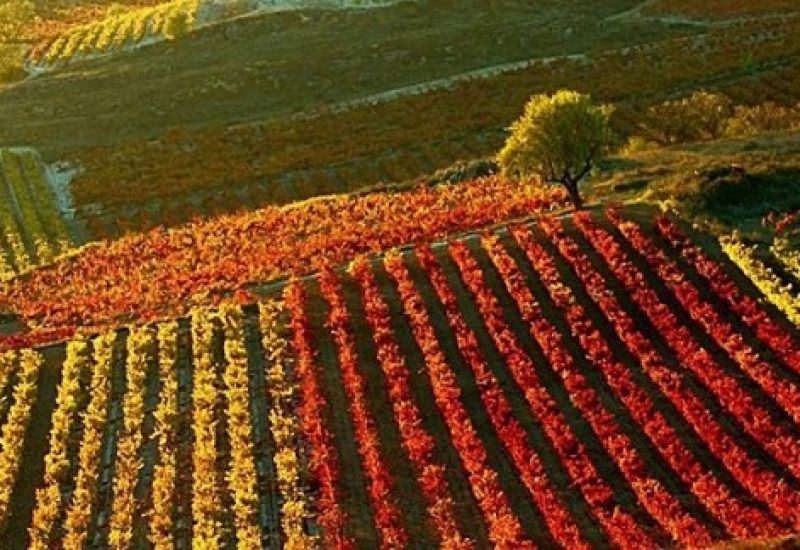 rioja