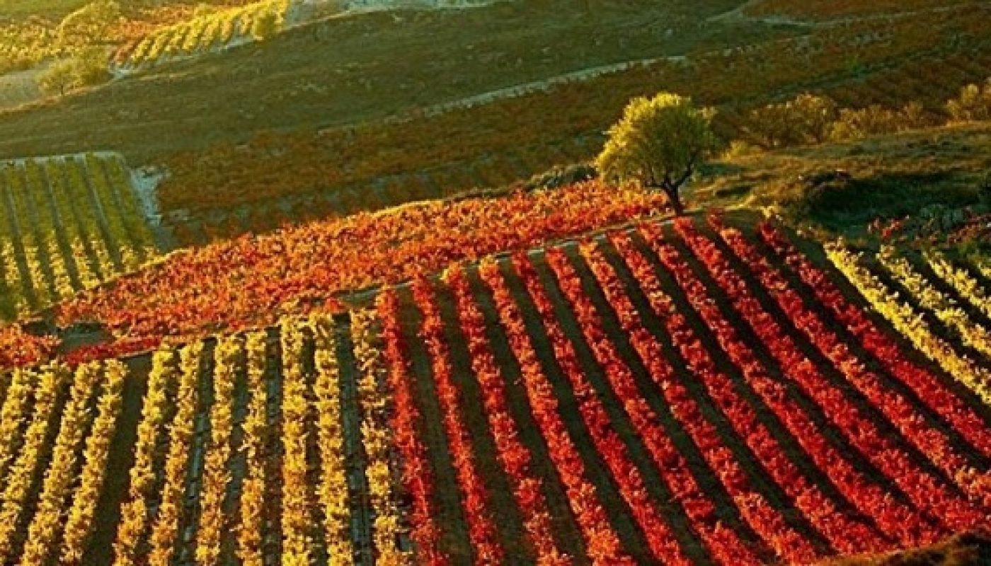 rioja