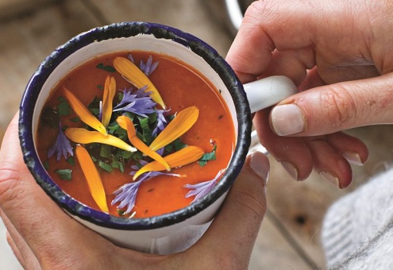 Roast Carrot and Red Pepper Soup Recipe from The Ketogenic Cookbook
