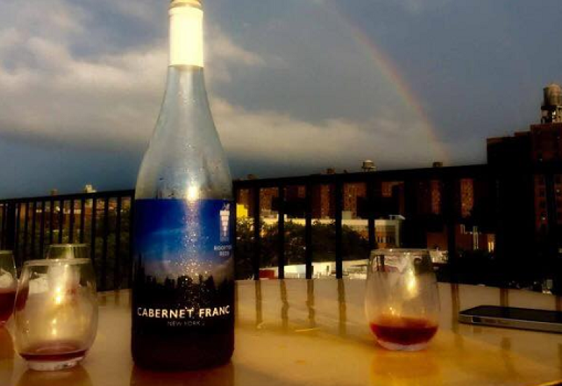 Brooklyn's Rooftop Vineyard Challenges the Concept of Terroir