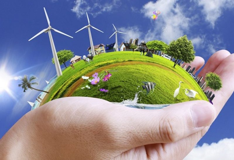 Applications Open for the Irish Food Writers' Guild Social Responsibility Award