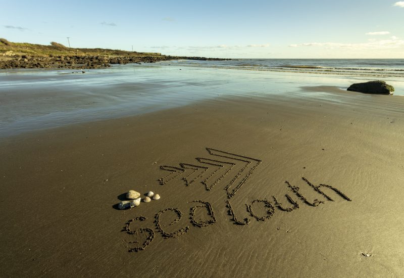 sea louth