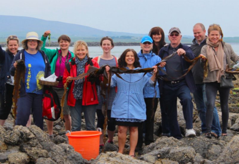 seaweed sligo food trail