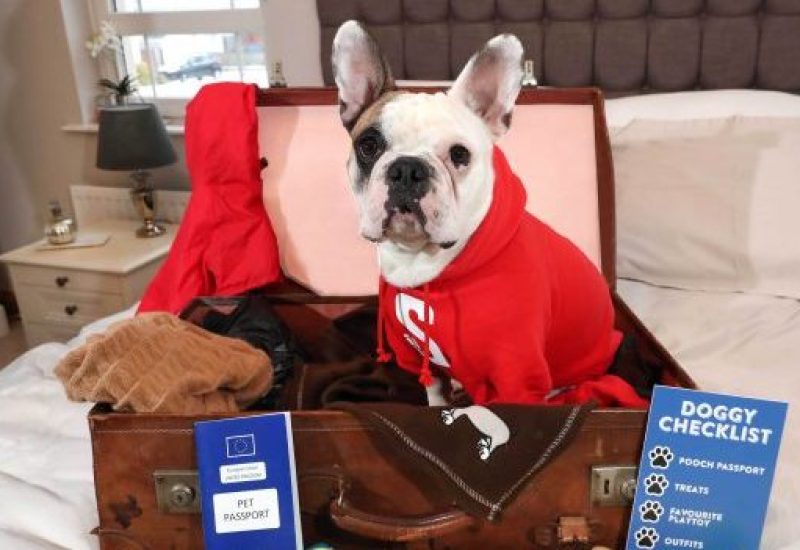 STENA LINE IS TOP DOG FOR HOLIDAY MAKERS: