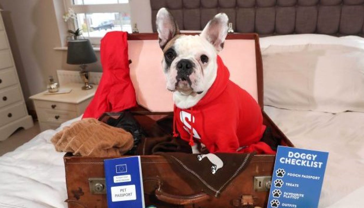 STENA LINE IS TOP DOG FOR HOLIDAY MAKERS: