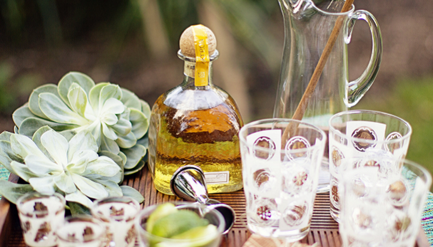 Licence Tequila: Moving from Juniper to Agave | Tequila Trends for 2017