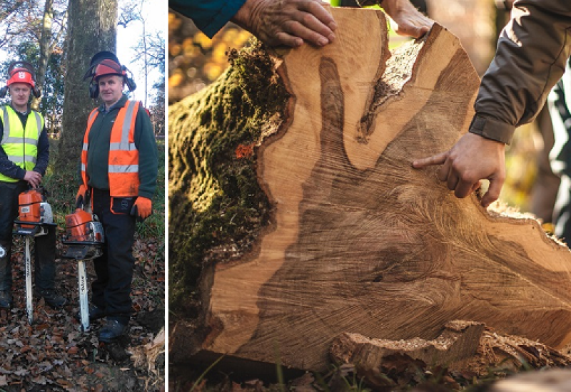 Into the Woods: Irish Whiskey Grows Strong with the Midleton Dair Ghaelach Project