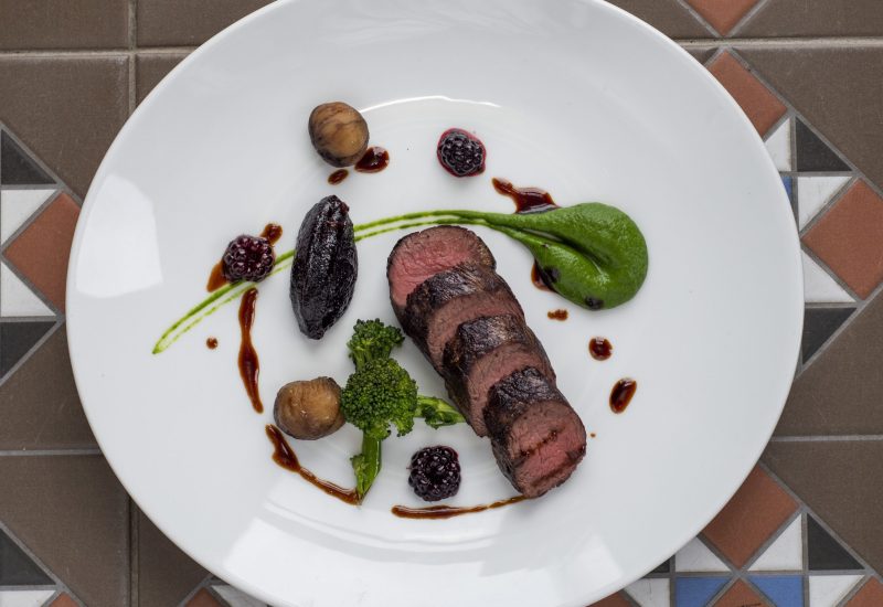 venison image