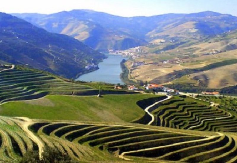 Exploring the Underrated Wines of Portugal: Douro and Dão