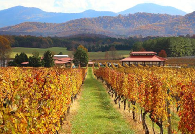 Virginia is for Wine Lovers: A Road Trip Across Virginia Wine Country